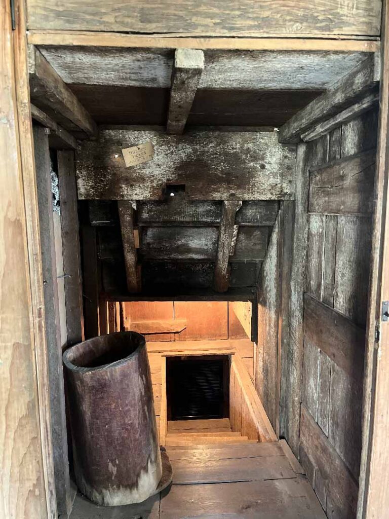 Looking from the top of the steps into the basement, there is a sloping wooden ceiling and wooden steps leading down below the house.